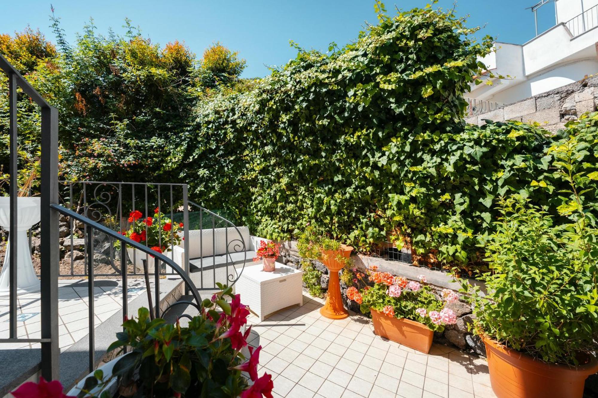 La Vispa Teresa Ischia Ngoại thất bức ảnh